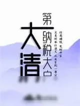 《大清第一纳税大户》小说封面