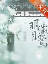 《明月藏鹭》小说封面