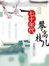 《七十年代攀高枝儿》小说封面