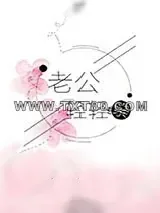 《老公轻轻亲》小说封面