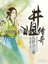 《井姐传奇》小说封面