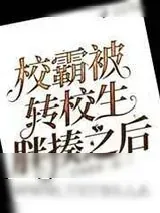 《校霸被转校生胖揍之后》小说封面