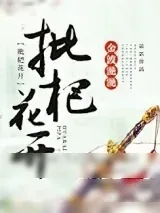 《枇杷花开》小说封面