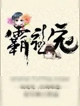 《霸龙宠》小说封面