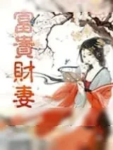 《富贵财妻》小说封面