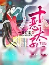 《十恶太子妃》小说封面