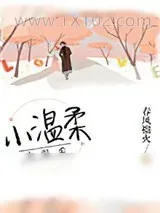 《小温柔》小说封面