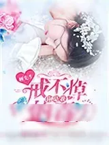 《顾先生，你是我戒不掉的毒！》小说封面