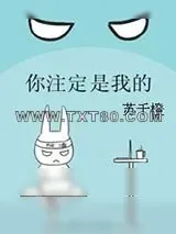 《你注定是我的》小说封面