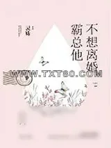 《霸总他不想离婚》小说封面