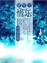《重生之惜乐》小说封面