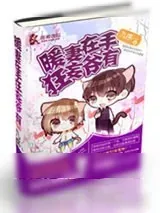 《暖妻在手狂妄爷有》小说封面