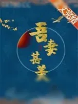 《吾妻甚美》小说封面