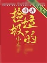 《盛唐捡垃圾的小太子》小说封面