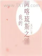 《我的阿喀琉斯之踵》小说封面