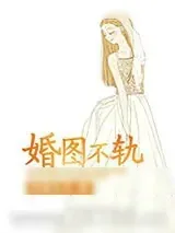 《婚图不轨》小说封面