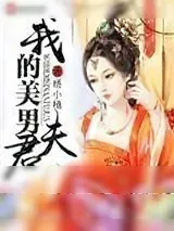 《我的美男夫君》小说封面