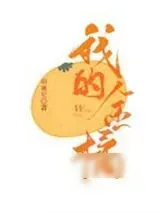 《我的金橘》小说封面