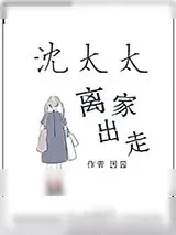 《沈太太离家出走》小说封面