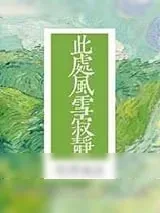 《此处风雪寂静》小说封面
