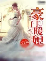 《豪门暖媳》小说封面