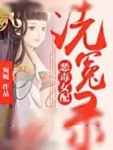 《恶毒女配洗冤录》小说封面