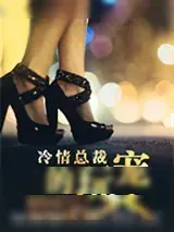 《冷情总裁的玩宠》小说封面
