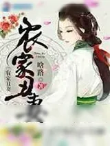 《农家丑妻》小说封面