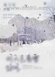 《明天去看雪好吗》小说封面