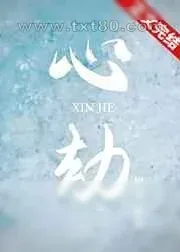 《心劫》小说封面