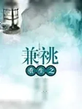 《重生之兼祧》小说封面