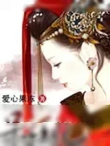 《呆子王妃》小说封面