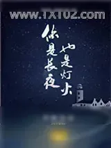 《你是长夜，也是灯火》小说封面