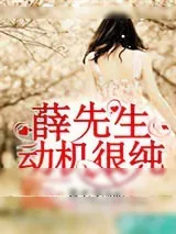 《薛先生，动机很纯》小说封面