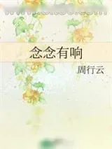 《念念有响》小说封面
