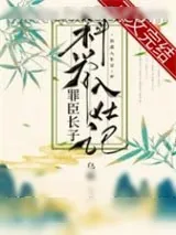 《罪臣长子科举入仕记》小说封面