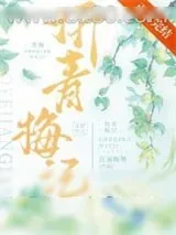 《折青梅记》小说封面