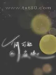 《有可能的夜晚》小说封面
