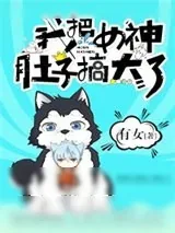 《我把女神肚子搞大了》小说封面