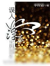 《误入浮华》小说封面