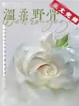 《温柔野骨》小说封面