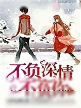 《不负深情不负你》小说封面