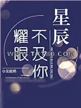 《星辰不及你耀眼》小说封面