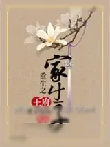 《重生之王府家生子》小说封面