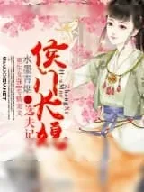 《选夫记之侯门长媳》小说封面