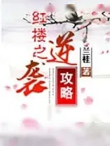 《红楼之逆袭攻略》小说封面