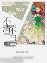 《不清不白》小说封面
