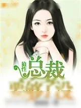 《狼性总裁要够了没》小说封面