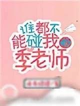 《谁都不能碰我的季老师》小说封面