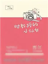 《时教授的小仙女》小说封面